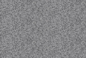 河南芝麻白與芝麻灰區別(圖2)