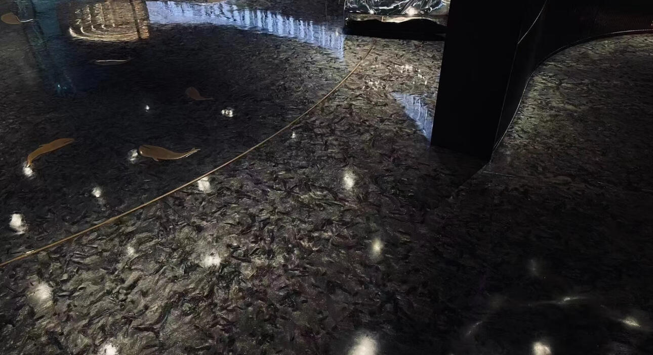 范思哲黑生產廠家的創新研發方向是什么？