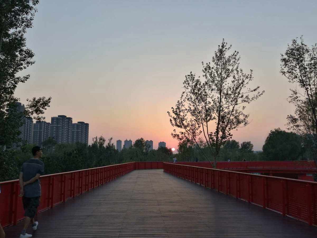 工作小能手，教你如何應對各種工作場景！