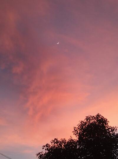 輕松愉悅 心情大變——放松壓力的五首鈴聲推薦