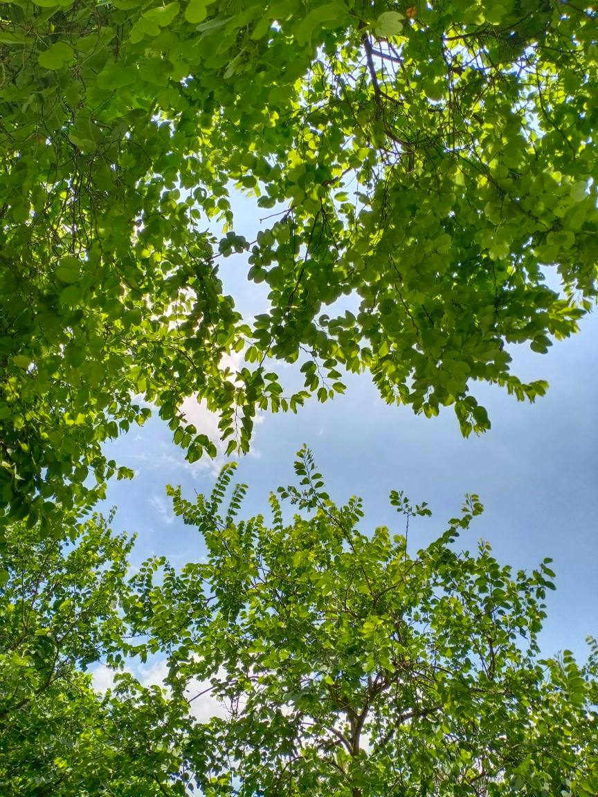 批發(fā)山東大型景觀石 招牌刻字石 酒店招牌石(圖2)