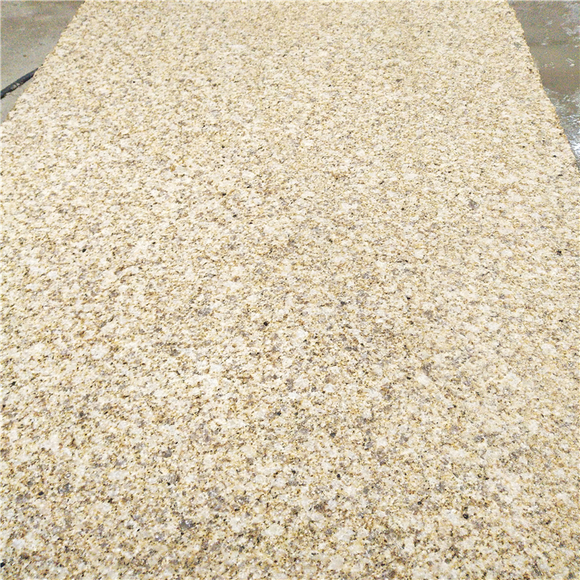 金麻黃黃金麻(圖3)