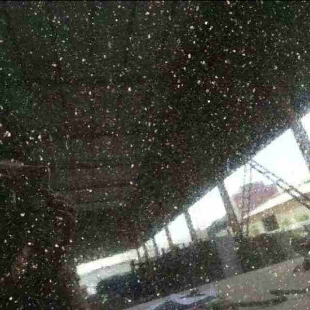 濱州青石材廠家價格(圖3)