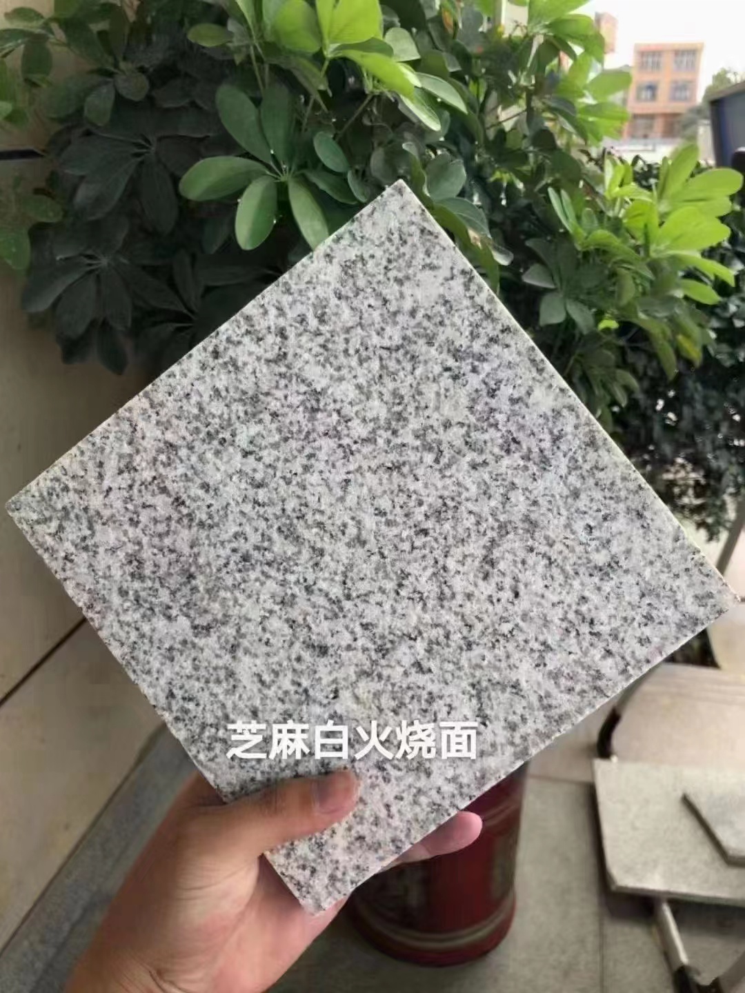 路沿石廠家批發(fā)珍珠花天然石材供應(yīng)商