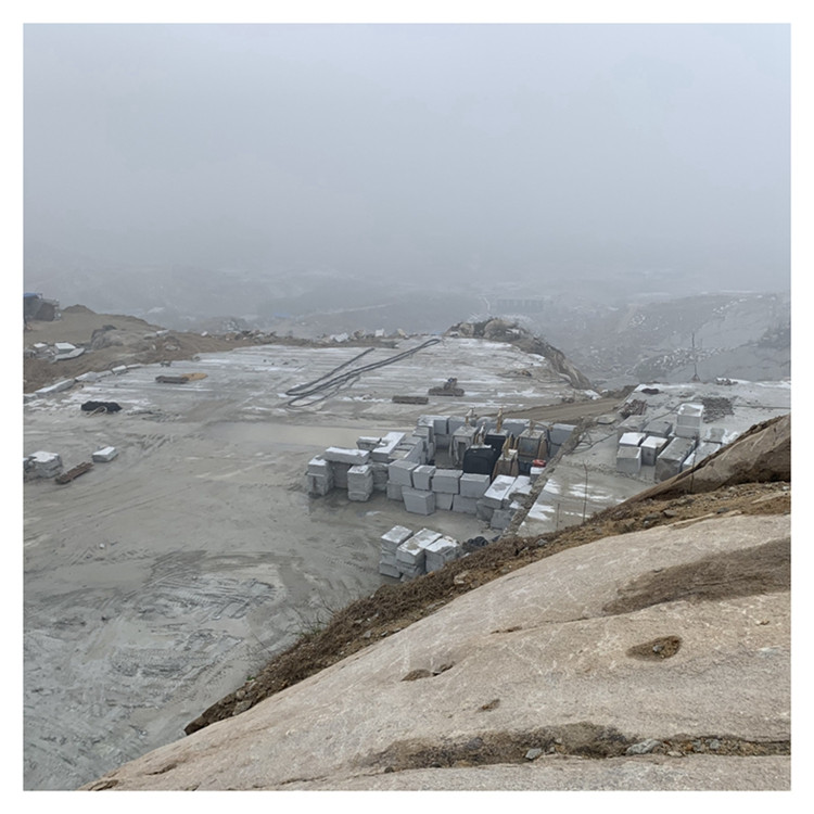 芝麻灰荔枝面價格如何(圖5)