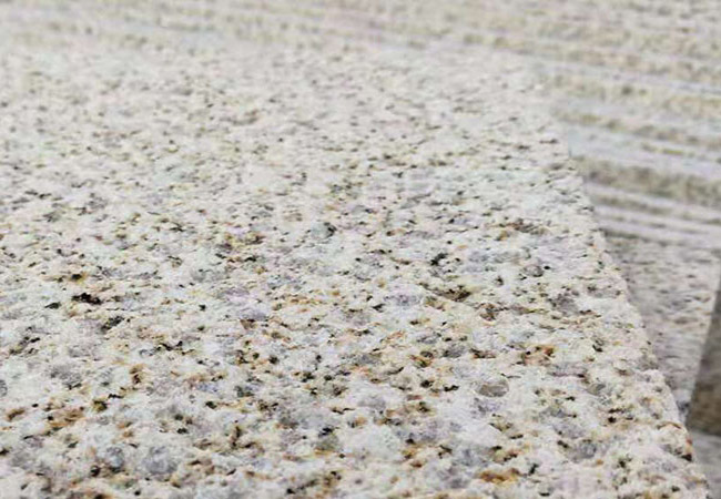 黃金麻荔枝面起拱(圖2)