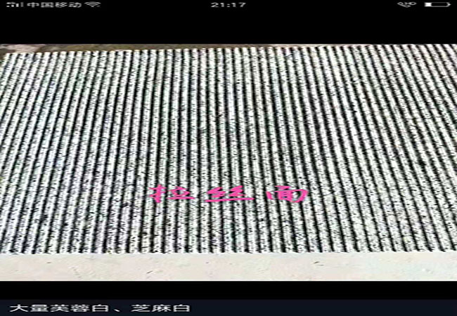 濟(jì)寧芝麻白干掛石材(圖4)