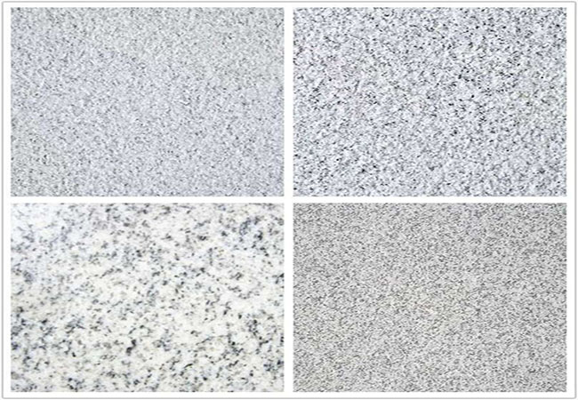 芝麻白顏色分類