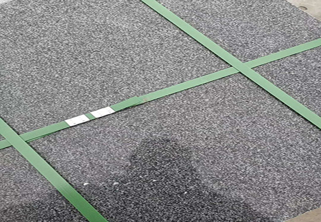 芝麻黑導盲轉價格多少