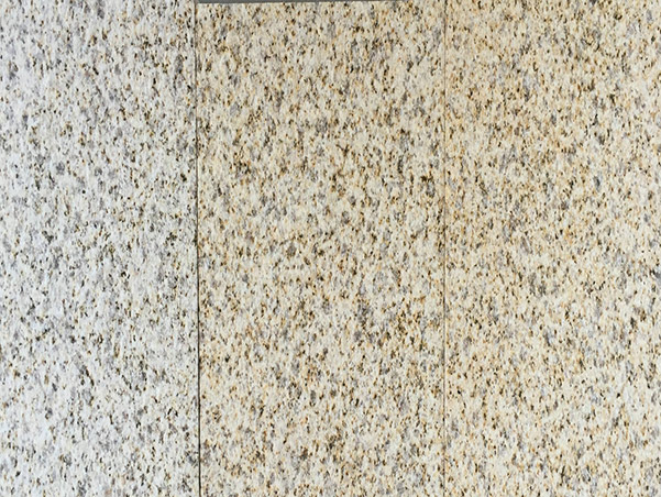 黃金麻荔枝面圖片