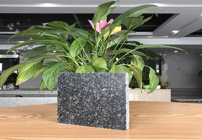 芝麻黑產地在哪里6