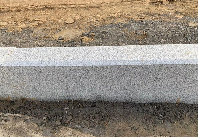 廣西芝麻白荔枝面廠家