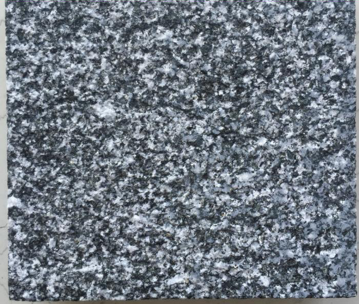 儋州芝麻黑價(jià)格多少(圖2)