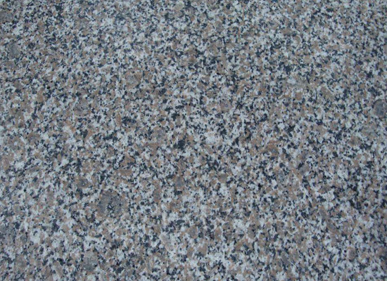 花園小院靈感集：讓每一寸土地都綻放(圖4)