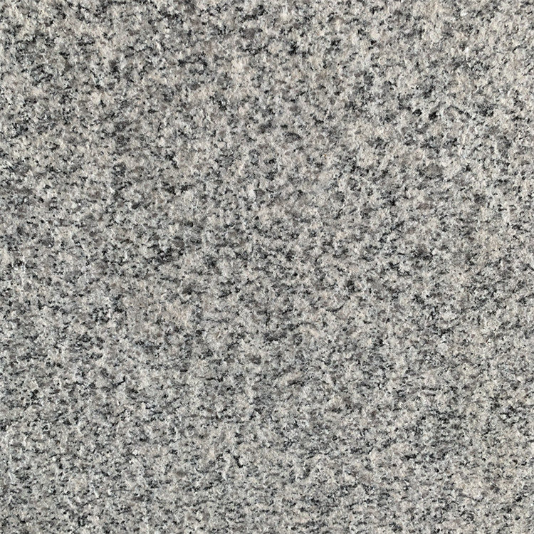 廣州荔枝面芝麻灰行情(圖1)