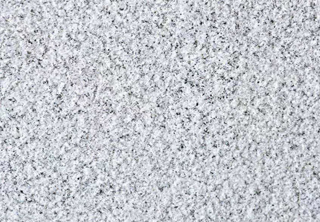 河南芝麻白價格行情