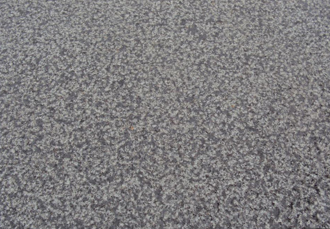 儋州芝麻黑價(jià)格多少(圖5)