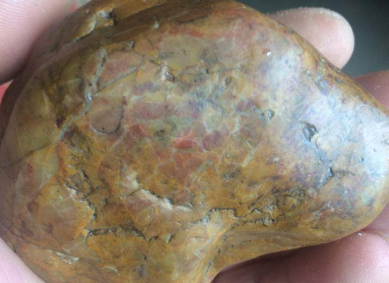 大理石踢腳線脫落修復(fù)(圖4)