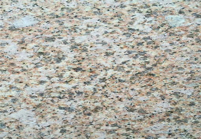 河北黃金麻廠家批發(fā)價(圖5)