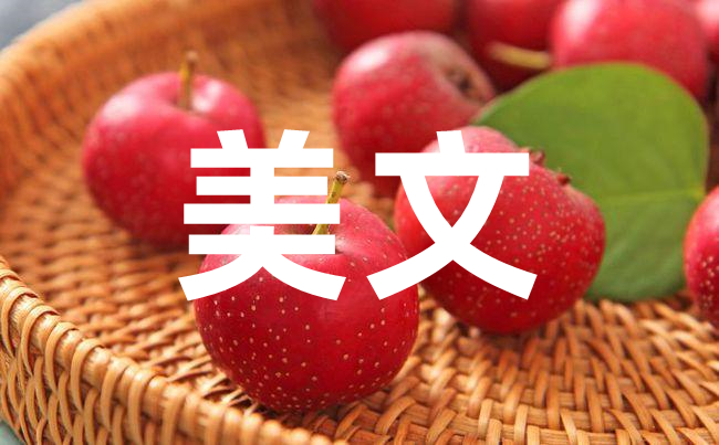 探究周寧美文線下寫作：如何讓手寫字更加優美？